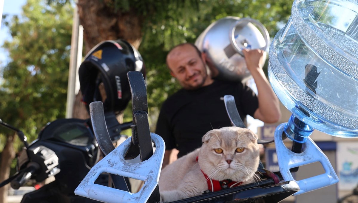 Konya'nın tüpçü kedisi! Bütün gün motosiklette sipariş dağıtıyorlar... 