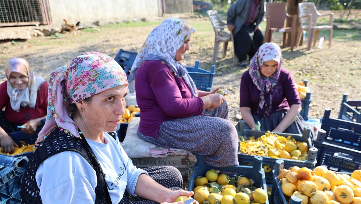 Devlet desteğiyle başladı şimdi talep yağıyor: Kilosu 200 liradan satılıyor