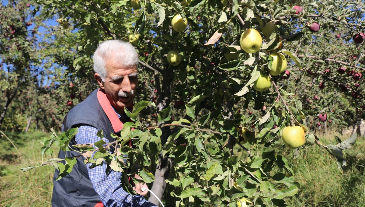 Hobi olarak başladı şimdi ticaretini yapıyor: 4 dönüm arsada 7 ton verim aldı