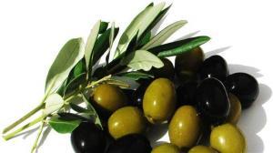 8967_zeytin2-300x168.jpg