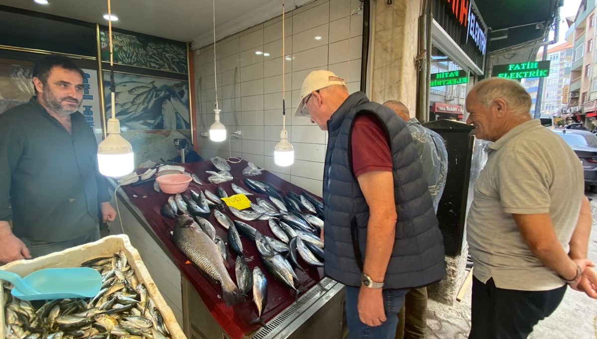 Sinop'ta 5,5 kilogramlık kötek balığı yakalandı