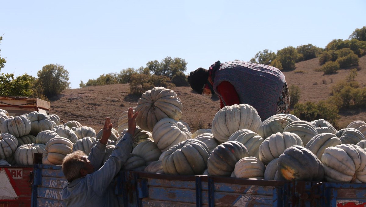 Damak çatlatan lezzet: Tarlada 5 lira, 11 kilometre uzaklıktaki pazarda 30 lira